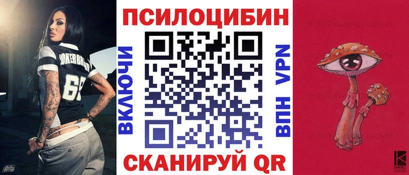 Купить где  Навашино  Псилоцибиновые грибы Magic Shrooms 