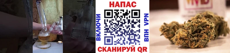 Каннабис ГИДРОПОН  Купить закладки  Навашино 